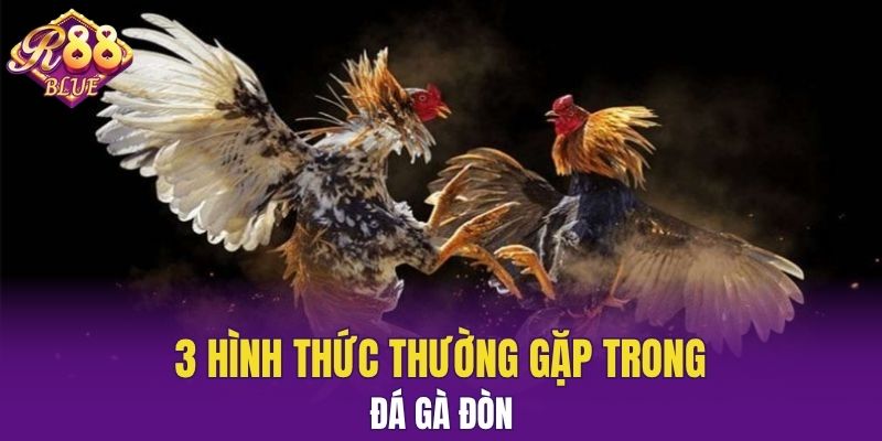 Đá Gà Thomo - Luật Chơi Và Các Mẹo Cá Cược Hiệu Quả 6 3 hình thức thường gặp trong đá gà đòn