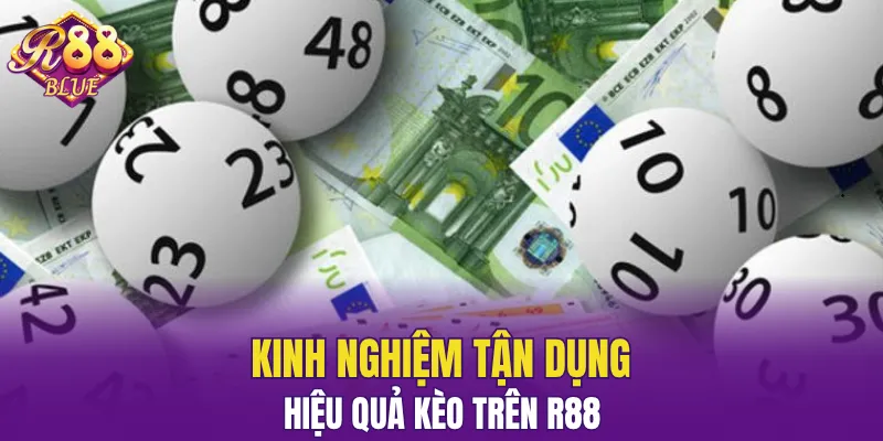 Bạch Thủ Lô Là Gì? Giải Mã Hình Thức Được Yêu Thích 7 Các kinh nghiệm hữu ích do các cao thủ truyền lại