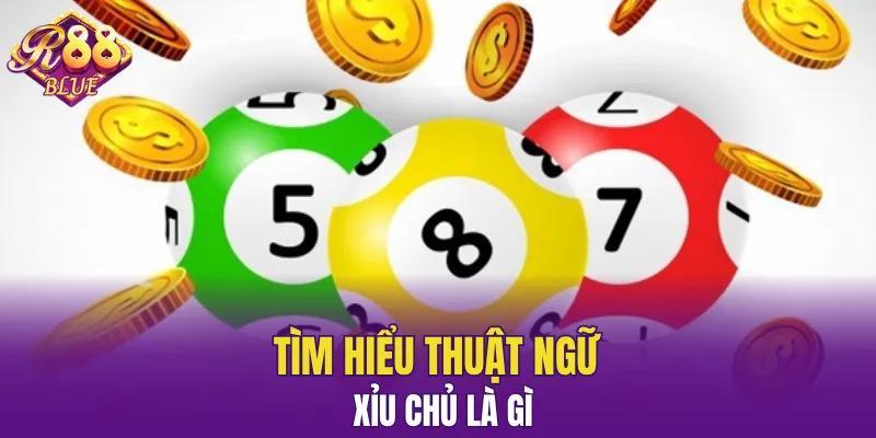 Bạch Thủ Lô Là Gì? Giải Mã Hình Thức Được Yêu Thích 5 Giải thích loại kèo này dễ hiểu nhất cho người mới