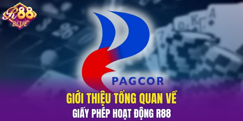 Giấy Phép Hoạt Động R88 - Bảo Chứng Sự Uy Tín Tuyệt Đối 4 Giới thiệu tổng quát về loại giấy phép hoạt động R88