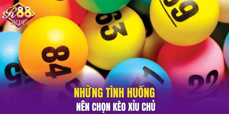 Bạch Thủ Lô Là Gì? Giải Mã Hình Thức Được Yêu Thích 6 Một số tình huống nên xuống tiền ở kèo này