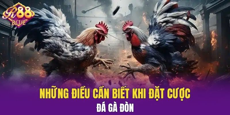 Đá Gà Thomo - Luật Chơi Và Các Mẹo Cá Cược Hiệu Quả 7 Những điều cần biết khi đặt cược đá gà đòn
