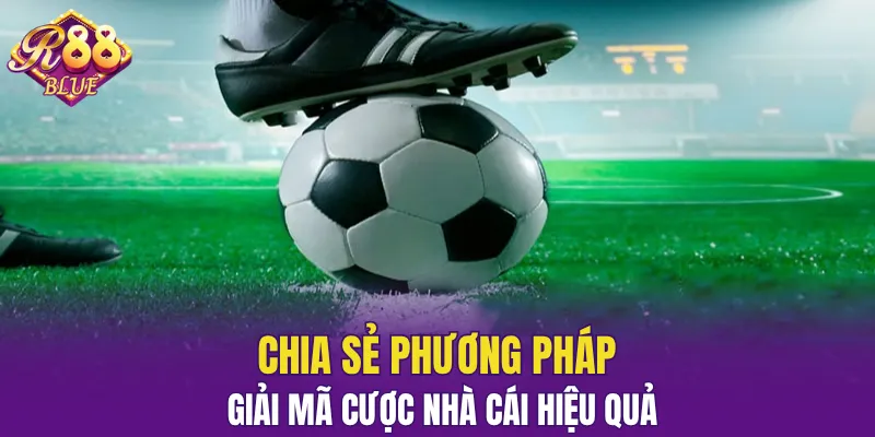 Kèo Châu Á - Kinh Nghiệm Đặt Cược Hiệu Quả Mới Từ R88 7 Phương pháp giải mã dựa trên tỷ lệ của đơn vị khác