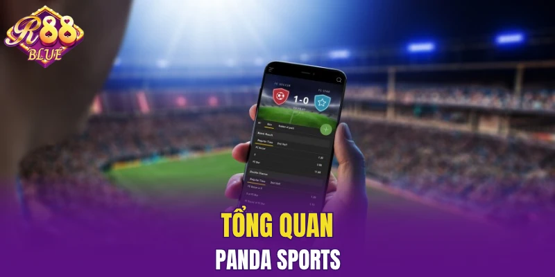 Panda Sports - Sảnh Chơi Thể Thao Hấp Dẫn Và Lôi Cuốn 4 Tổng quan Panda Sports